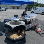 Flock Swap Agrisupply Garner, NC 5/31/2025